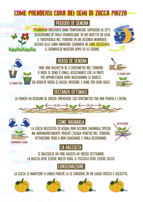 Cartolina-zucca-piozzo-2020