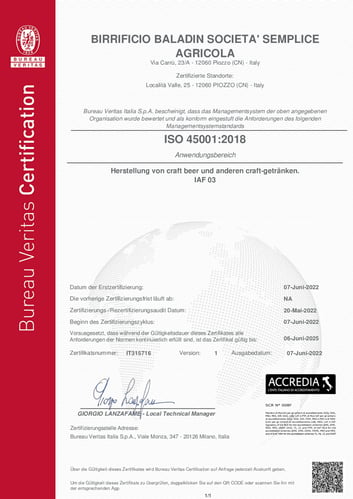 Certificazione ISO_DE