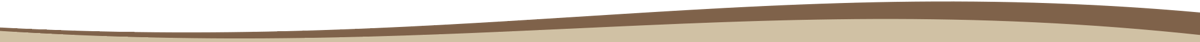 baladin-wave-bottom-light-right
